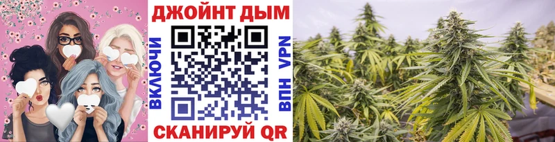 где продают   Нахабино  Канабис семена 